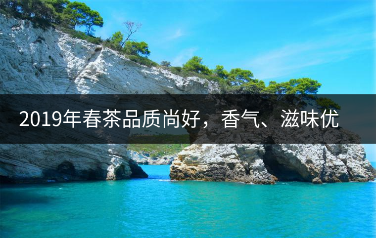 2019年春茶品質(zhì)尚好，香氣、滋味優(yōu)于去年