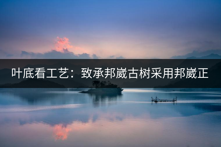 葉底看工藝：致承邦崴古樹采用邦崴正山三百至五百年古茶樹頭春鮮葉。經(jīng)手工殺青，石墨壓制，餅型周正，嚴(yán)守傳統(tǒng)工藝；葉底鮮活，幾乎無糊點，前期殺青較輕，這樣更利于后期轉(zhuǎn)化。