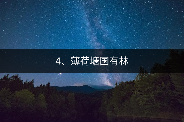 4、薄荷塘國有林