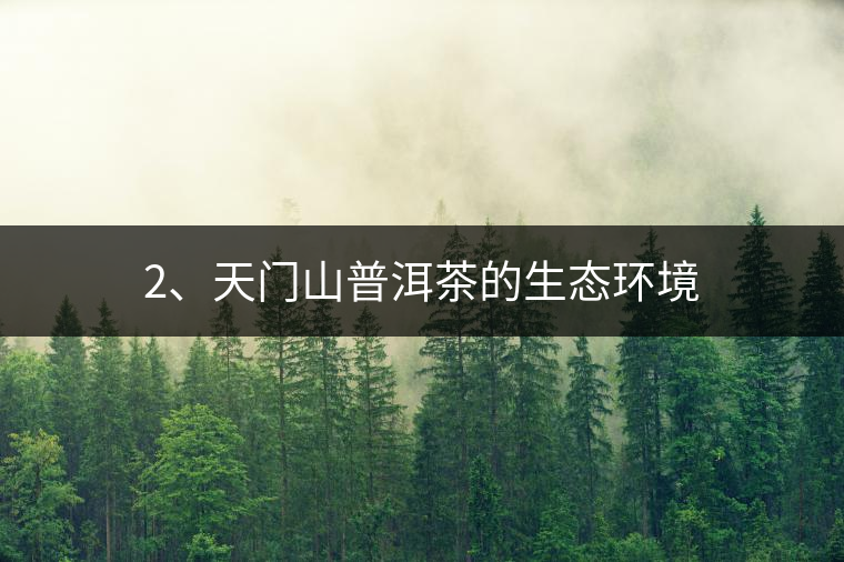 2、天門山普洱茶的生態(tài)環(huán)境