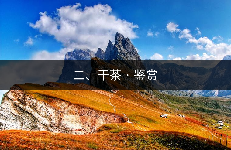 二、干茶 · 鑒賞