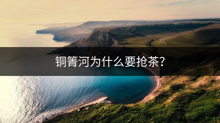 銅箐河為什么要搶茶？