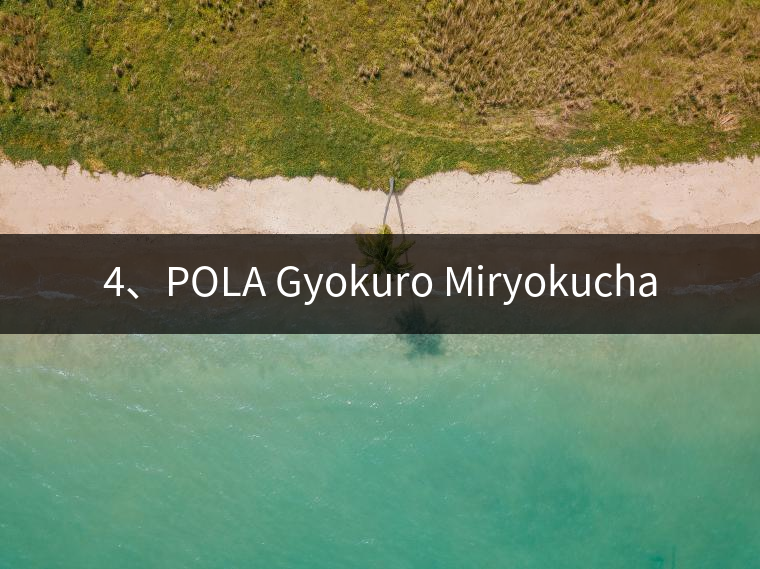 4、POLA Gyokuro Miryokucha