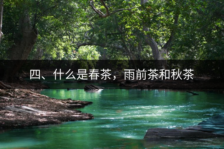 四、什么是春茶，雨前茶和秋茶