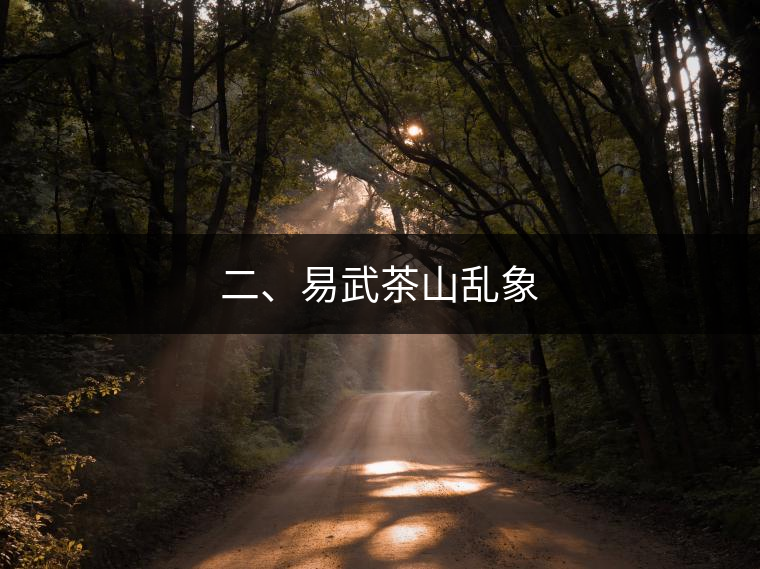 二、易武茶山亂象