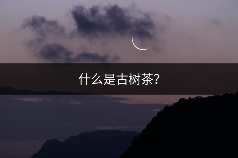 什么是古樹(shù)茶？