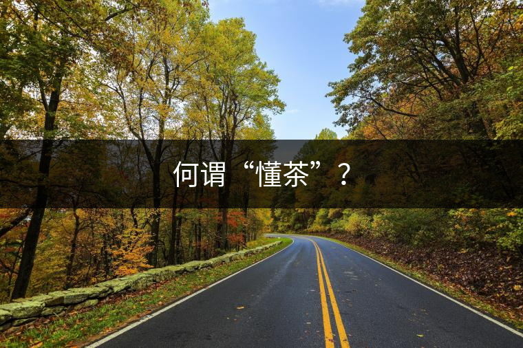 何謂“懂茶”？