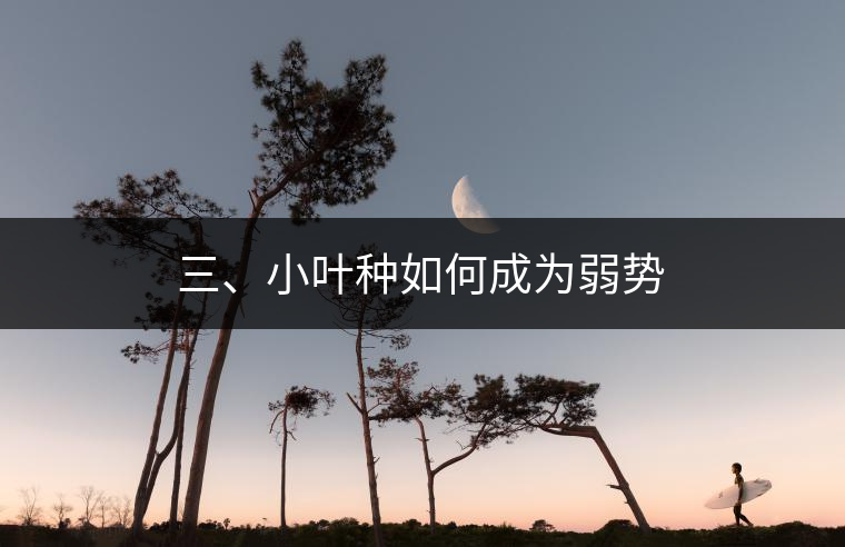 三、小葉種如何成為弱勢