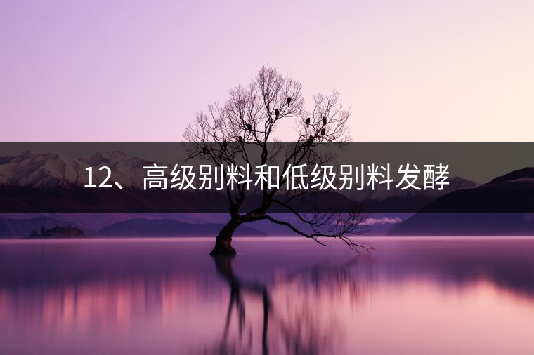 12、高級(jí)別料和低級(jí)別料發(fā)酵