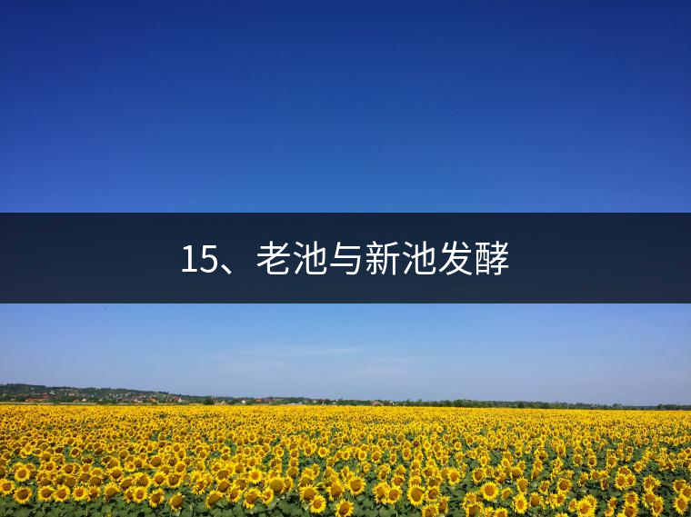 15、老池與新池發(fā)酵