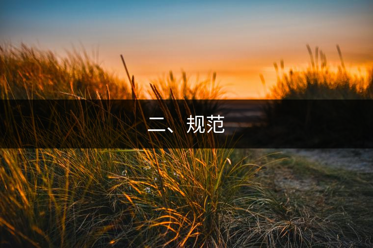 二、規(guī)范