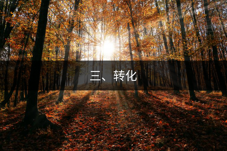 三、轉(zhuǎn)化