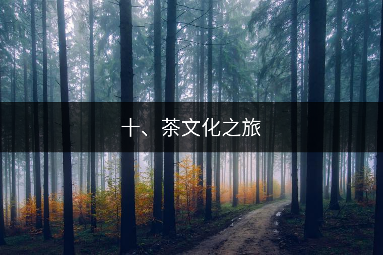 十、茶文化之旅