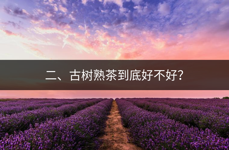 二、古樹熟茶到底好不好？