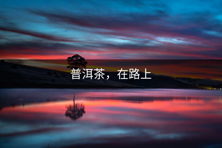 普洱茶，在路上