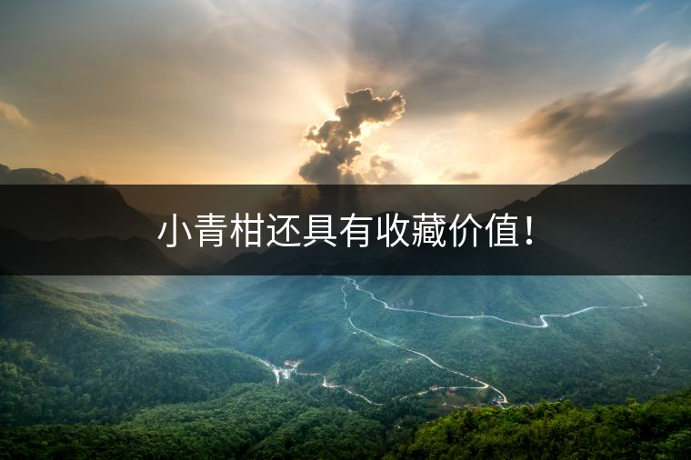 小青柑還具有收藏價值！