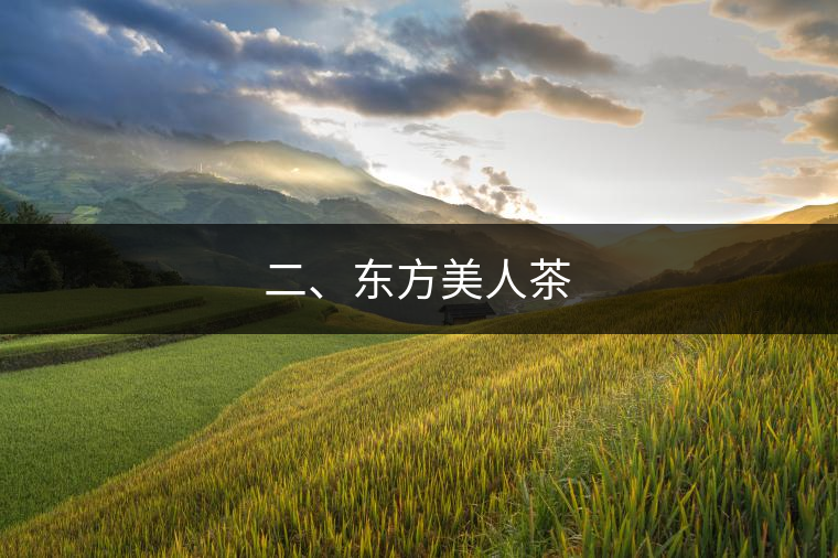 二、東方美人茶