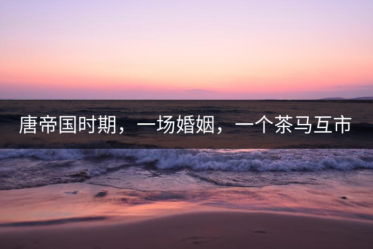 唐帝國時期，一場婚姻，一個茶馬互市，讓這里結束了漢藏對峙。宋代南茶北，西北茶馬司設立，因茶而改變的生活日益凸顯。元代八思巴與忽必烈在這一區(qū)域結盟，為蒙藏兩大民族交往鋪好通衢大道，明代俺答汗與達賴在山海之間追思各自先人，青海人宗喀巴創(chuàng)建的黃教通過蒙、藏兩大領袖的推廣，締造了影響至今的格局。大清經過康、雍、乾三代勵精圖治，滿、藏、蒙各自龐大的疆域第一次完整地統(tǒng)轄在中央帝國的版圖下。