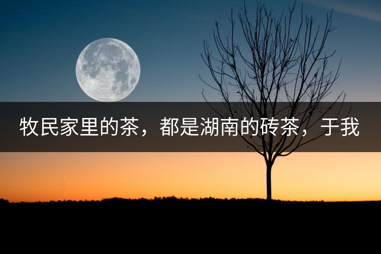 牧民家里的茶，都是湖南的磚茶，于我們而言不見得有多好，它們粗糙得看可見茶梗和樹枝，但于他們來說，卻是每日的生活必需品。端到桌上的茶碗，也是缺了口鋦過青花瓷碗，聞得見修補后的手溫，喝下加過鹽巴的磚茶，一身暖意，融化了深藏在發(fā)底的冰屑，溫暖著身心。