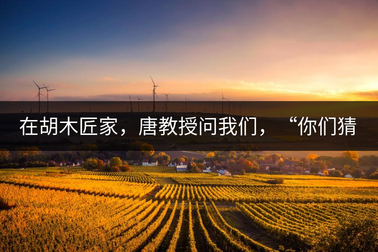 在胡木匠家，唐教授問我們，“你們猜猜他們家的茶放在哪里？”我們回答廚房、客廳都不對，“難道像寺院一樣，有專門的茶房不成？”教授和木匠都哈哈大笑，連連搖頭。在木匠的帶領下，我們來到主人的臥室，茶磚整齊有序地堆放在床頭柜里。一家之主的臥室，既是休息之所，亦是一家財富與傳家寶的收藏地。茶之精貴，毋需多言。