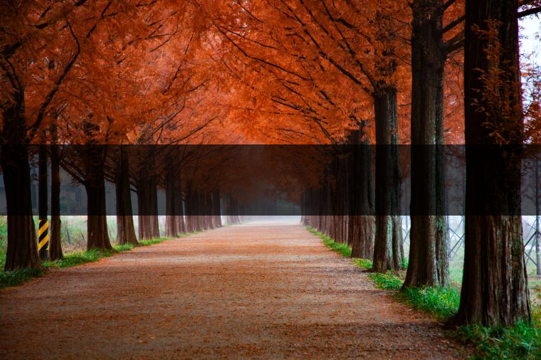 這樣的茶葉邊疆文化，也許是明代大學者解縉最樂意見到的。他曾說，中原最好的東西就是茶，而番人最好的就是馬。他贊同明廷茶馬互市的國策：茶之于夷人，如同中國之酒醴，因為茶馬貿易，許多夷人也開始學習中國的知識，對中國也有了向慕之心，那么茶的作用就很顯然，茶有著“夷夏之交，義利之辨，寅賓尚忠信而篤敬，河州固唐虞三代之邦也?！?茶不僅僅是一種飲品，還有其他。茶作為媒介，體現(xiàn)了觀念的變化。如今，隨著茶的傳播，各族人民有了更深入往來，通過貿易、文化、旅游等等。
陳渠珍從西藏抵達湟源區(qū)域時，也為這里的古風所震驚：“余皆漢番雜處。風俗婦女尚餞足，裙下蓮步不及三寸，服飾既古，文化尤卑，鄰居為私塾，當見一生久讀不能成誦，塾師罰之跪，以草圈罩頭上，頻加籌石，令其跪誦。余見駭然?！?
?
（摘自《海峽茶道》，2013年5期）