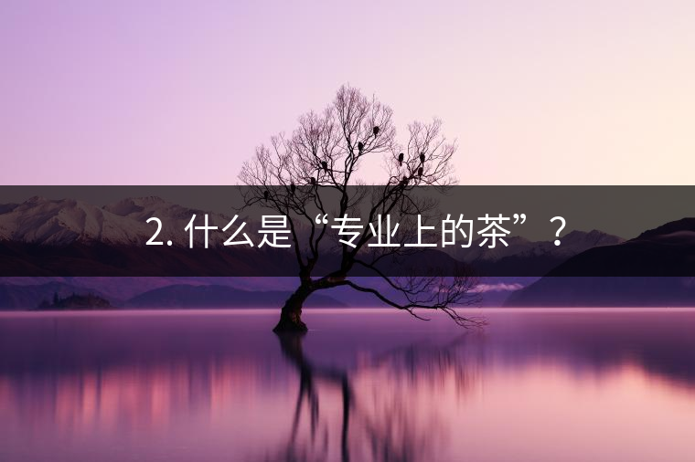 ? 2. 什么是“專業(yè)上的茶”？