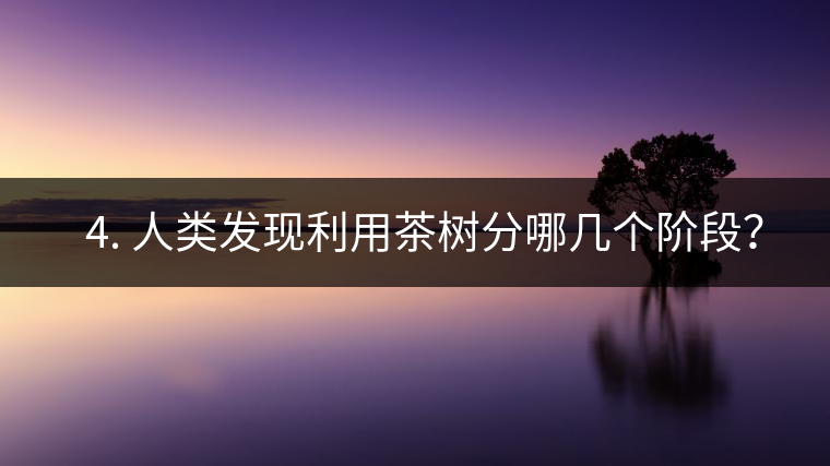 ? 4. 人類發(fā)現(xiàn)利用茶樹分哪幾個階段？