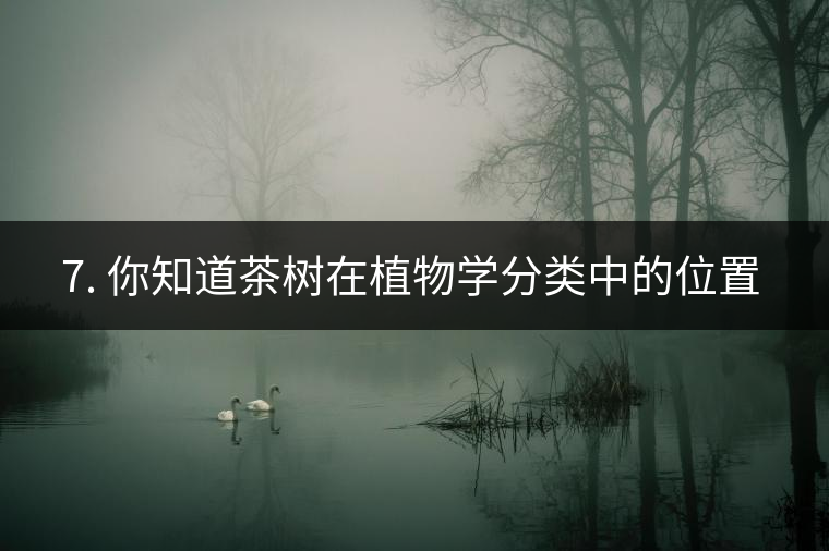 ??7. 你知道茶樹在植物學分類中的位置嗎？