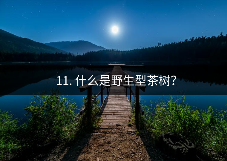 ? 11. 什么是野生型茶樹？