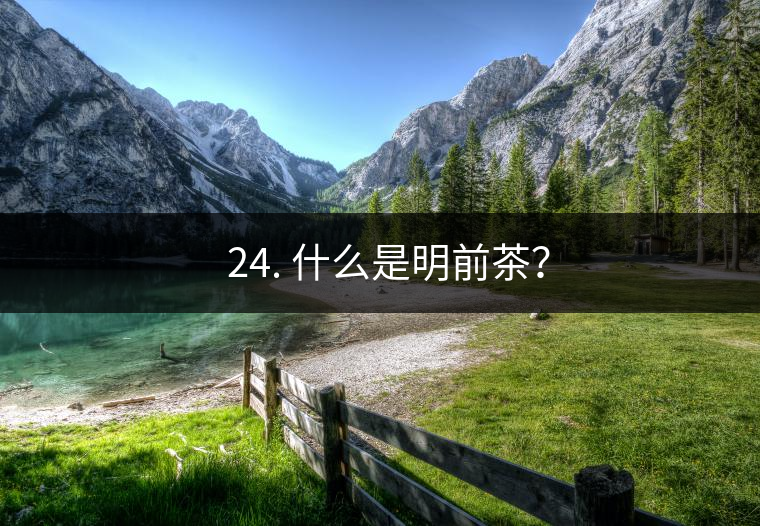 ? 24. 什么是明前茶？