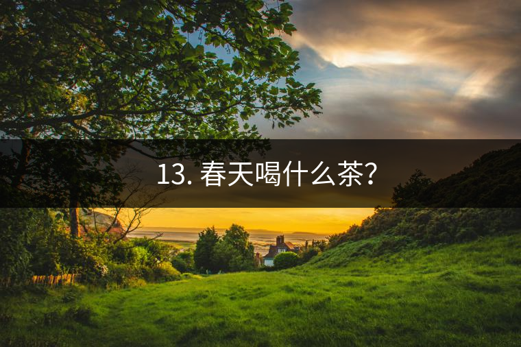 ? 13. 春天喝什么茶？