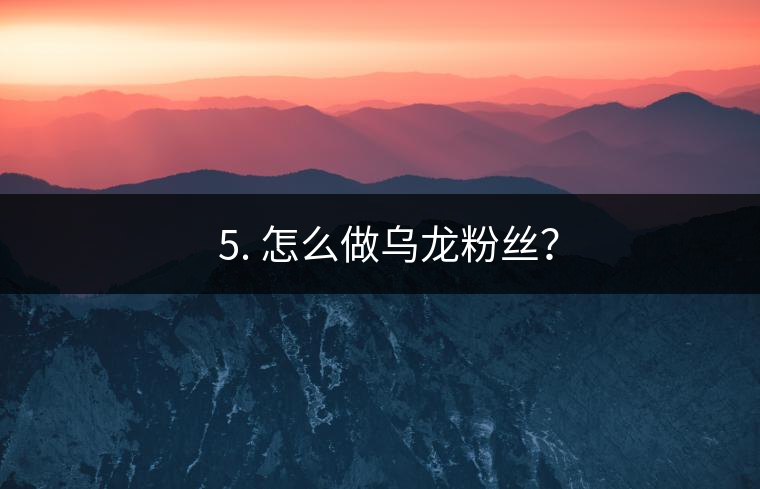 ? 5. 怎么做烏龍粉絲？