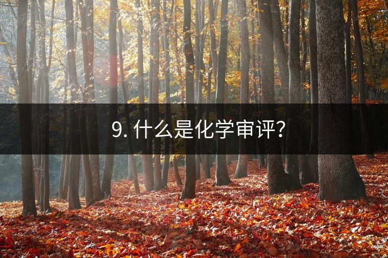 ? 9. 什么是化學審評？