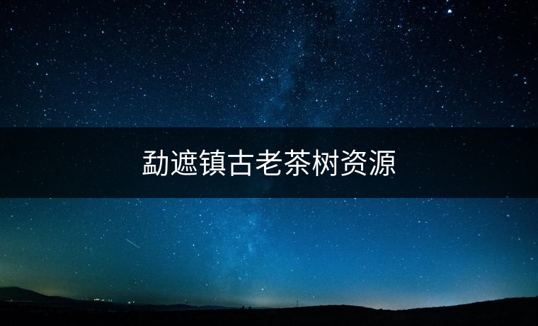 勐遮鎮(zhèn)古老茶樹(shù)資源