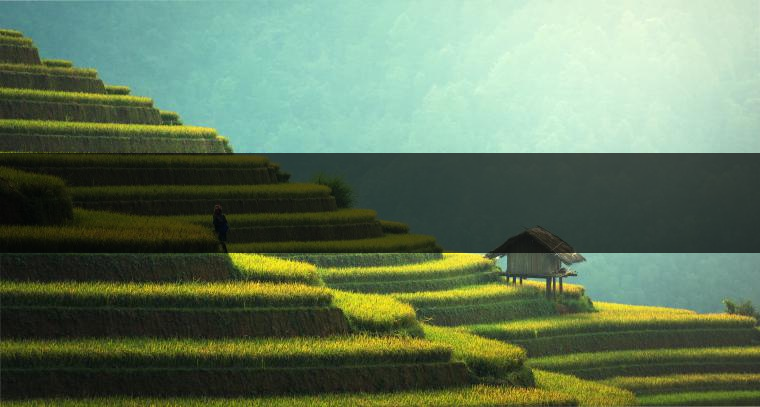 　　是什么支撐著一個家庭作坊式的小廠成長為一個產(chǎn)值上億元的現(xiàn)代企業(yè)？