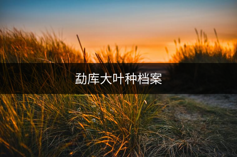 勐庫大葉種檔案