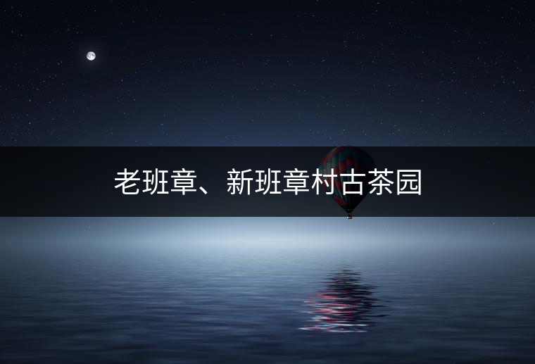 老班章、新班章村古茶園