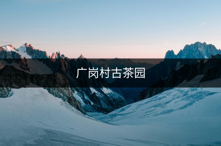 ?勐混鎮(zhèn)古茶樹(shù)資源優(yōu)勢(shì)