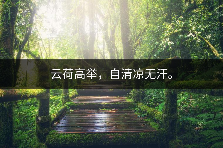 云荷高舉，自清涼無汗。