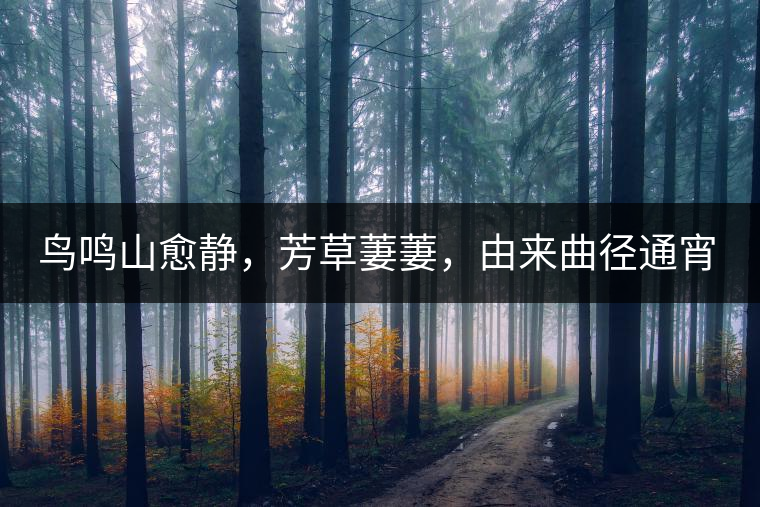 鳥鳴山愈靜，芳草萋萋，由來曲徑通宵漢。