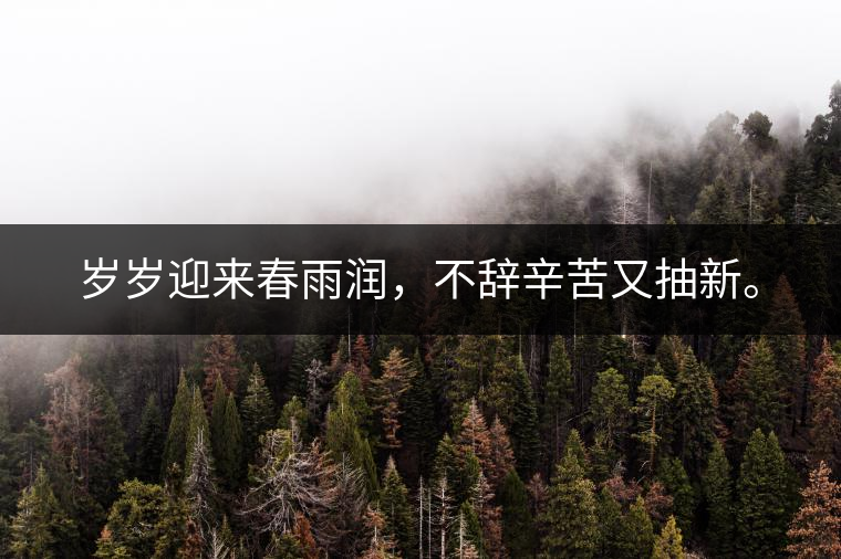 歲歲迎來春雨潤，不辭辛苦又抽新。