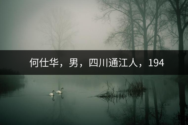 　　何仕華，男，四川通江人，1942年7月生，高級工程師、副研究員，曾任云南省高級工程師高評委委員，云南省老科協(xié)茶葉分會副會長，云南省普洱茶葉協(xié)會技術(shù)委員會副主任，云南省普洱茶研究中心研究員，獲覺農(nóng)勛章獎、老茶人貢獻獎，全國弘揚茶文化突出貢獻獎。