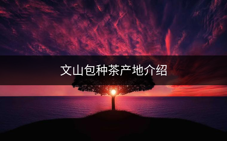 文山包種茶產地介紹