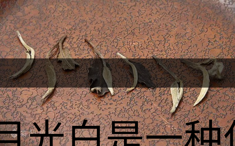 月光白是一種什么茶？-1