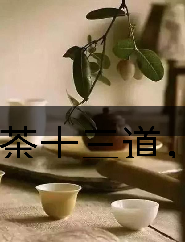 喝茶十三道，道道皆精華！-2