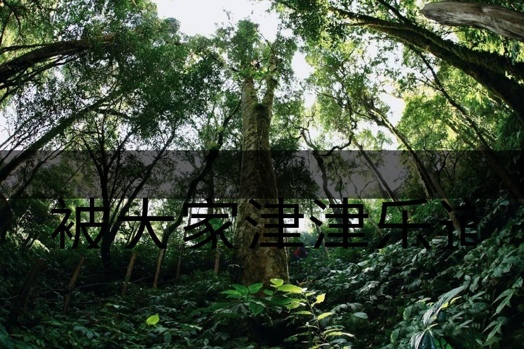 被大家津津樂(lè)道的森林茶，你知道是什么？-6-1