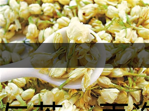 花與茶，再造茉莉之都——福州-1