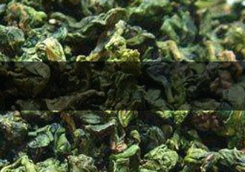 青茶什么時候泡好-怎么喝減肥-1