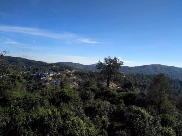 蘭香賀開，甘甜賀開