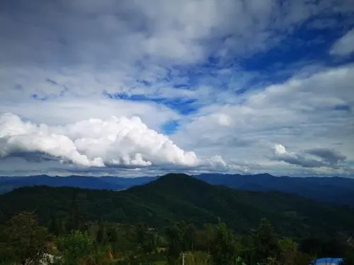 2021年那罕古樹秋茶口感？